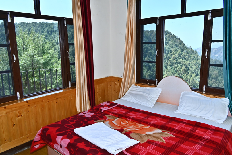 Hotel Green View Shimla